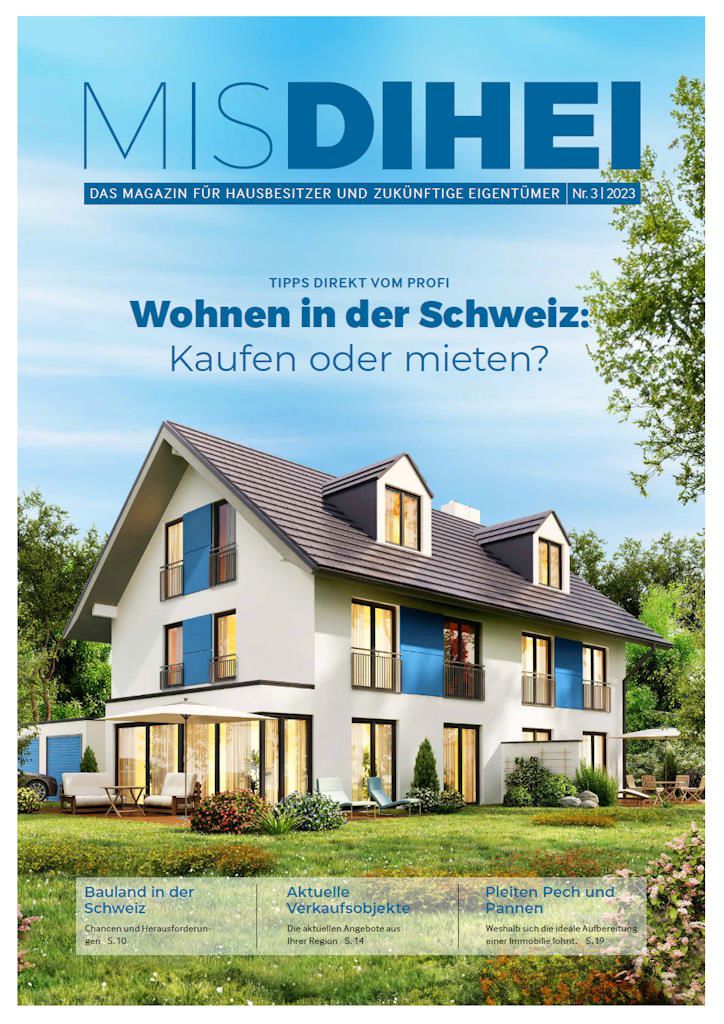 Ausgabe 3 - MIS DIHEI